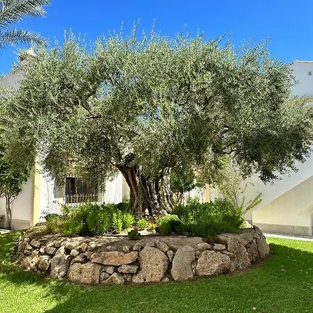 Apartmán Palm View Vera Coast